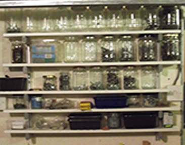 Unique Shelving Supports for Jam Jars for storing Nuts & Bolts